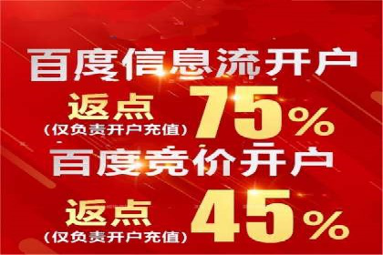 百度推广返点策略：成功案例分享